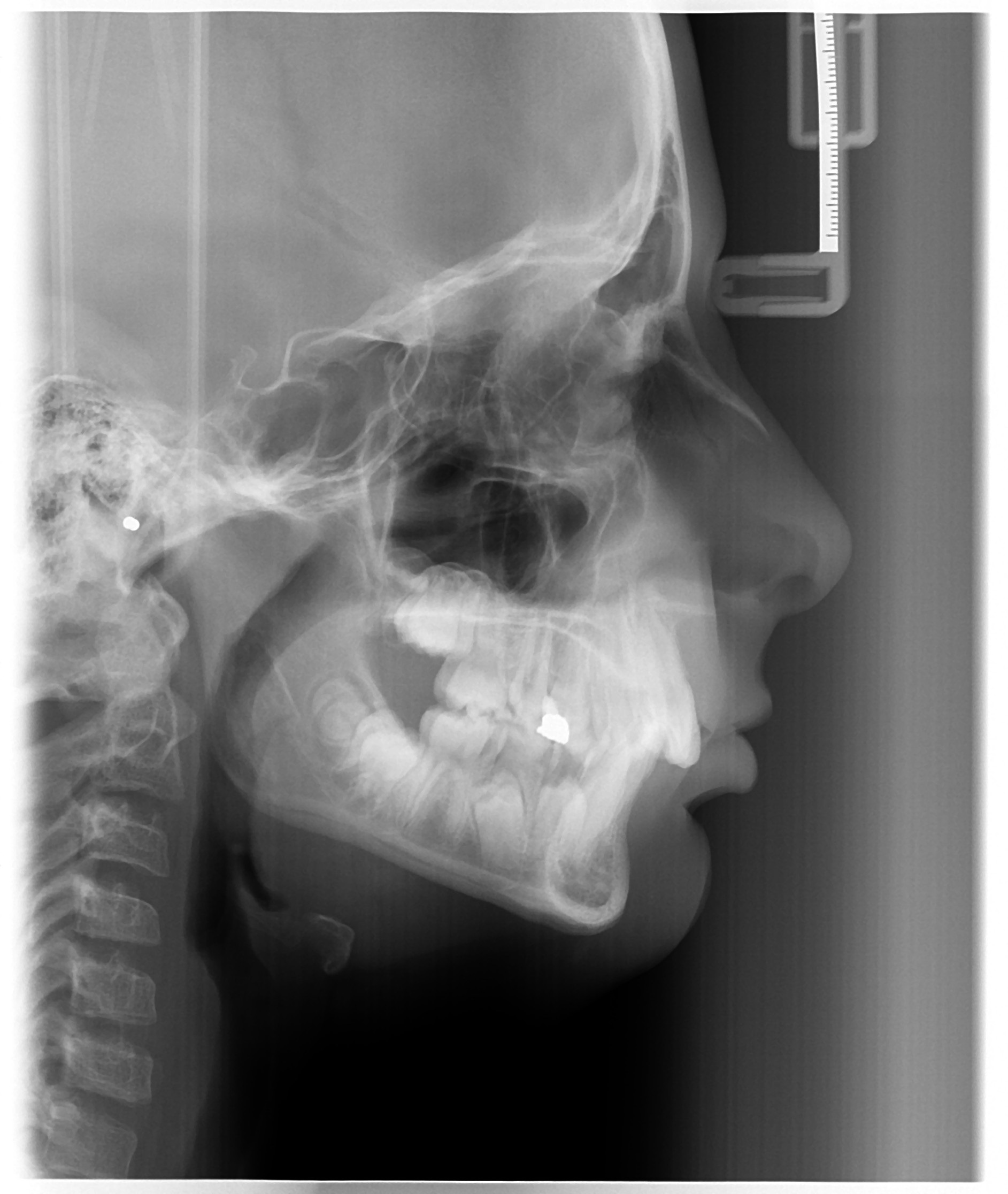 Sample Image 1