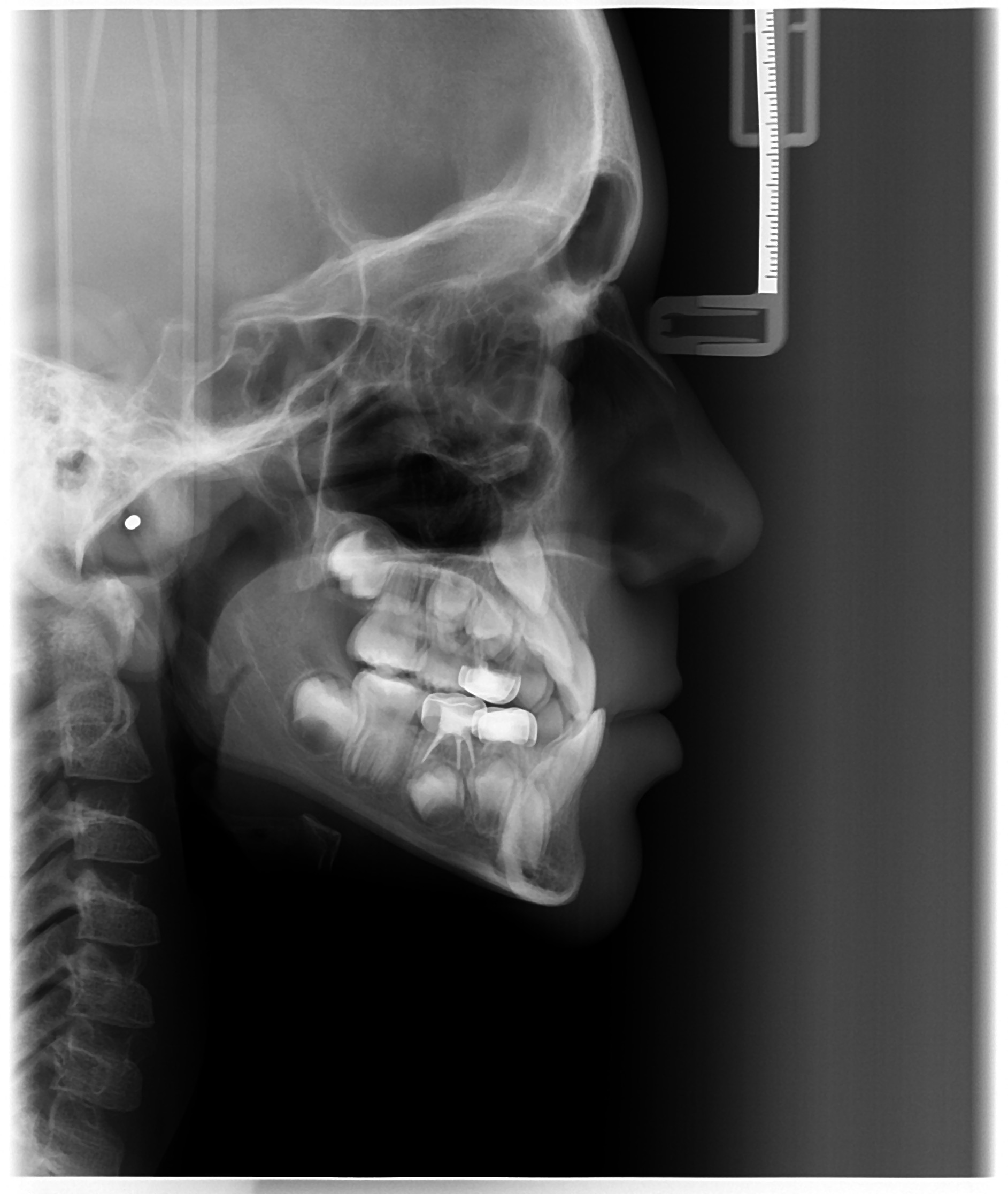 Sample Image 4