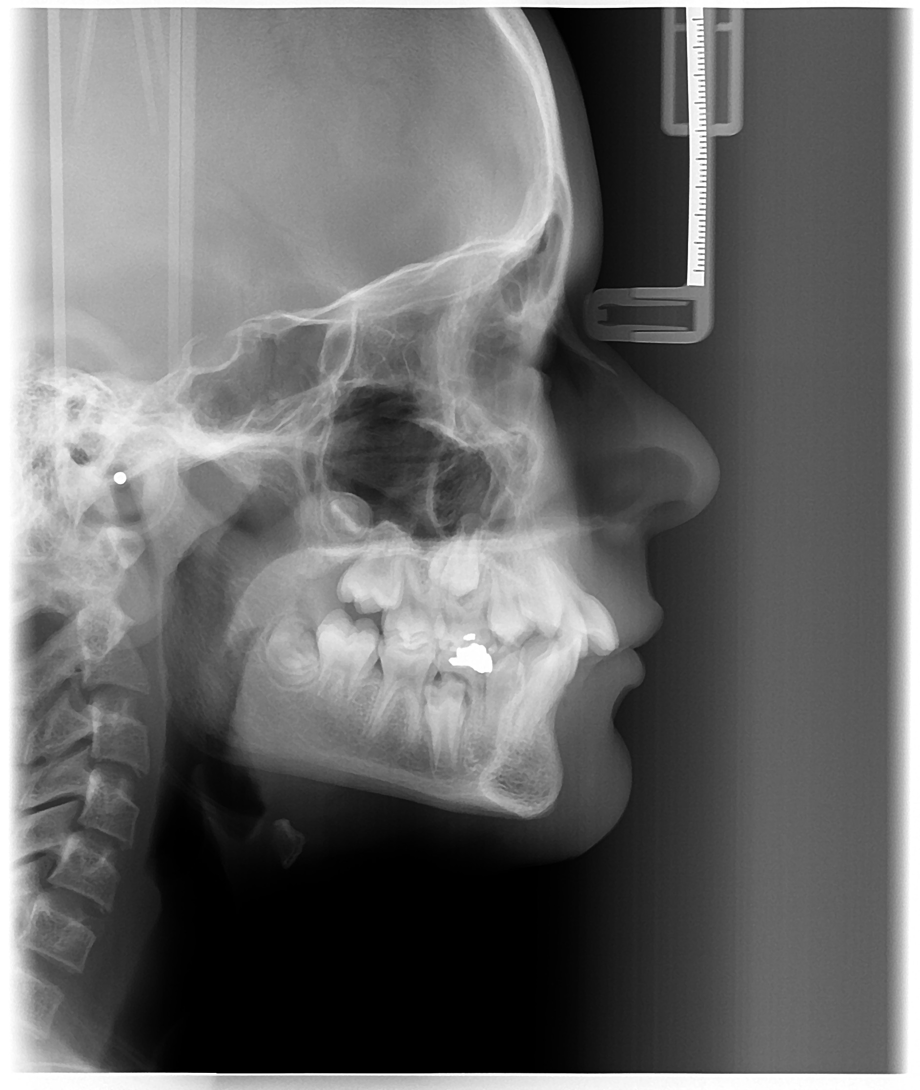 Sample Image 5