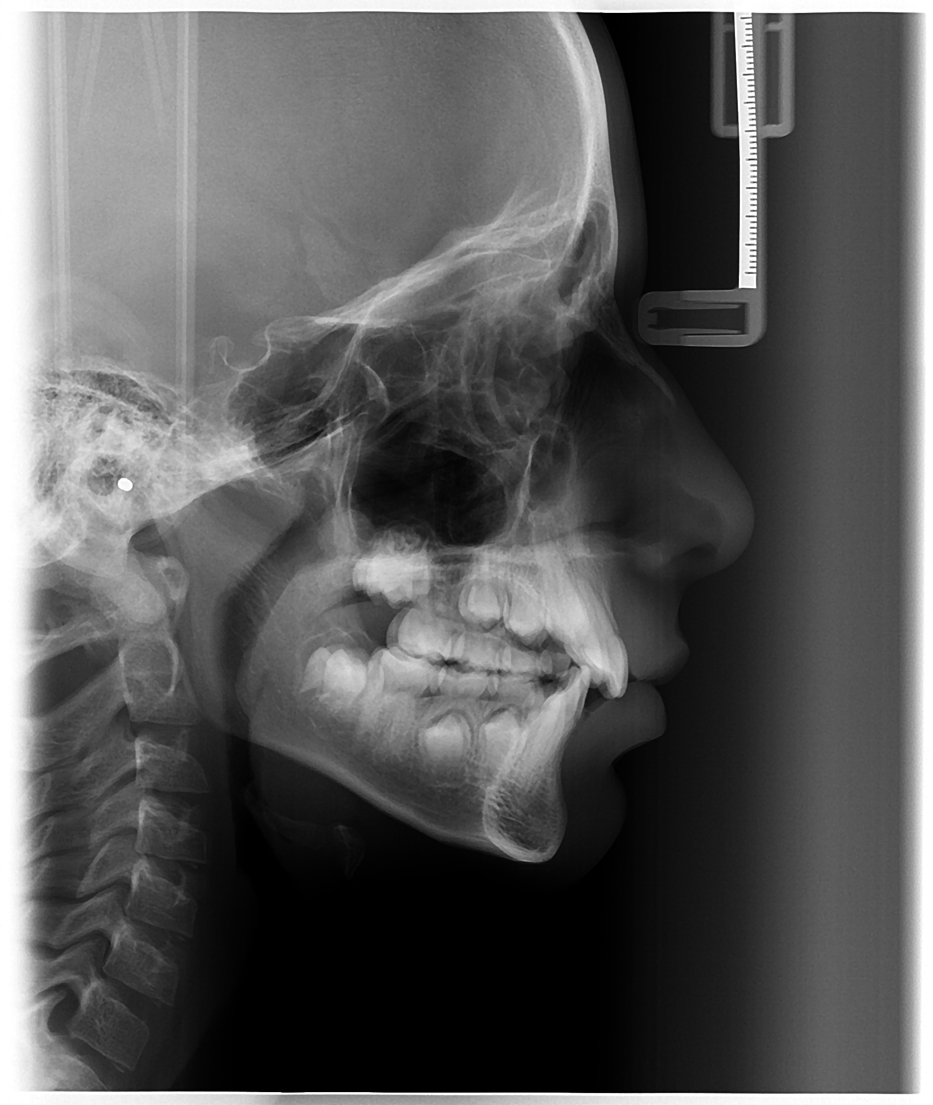 Sample Image 6