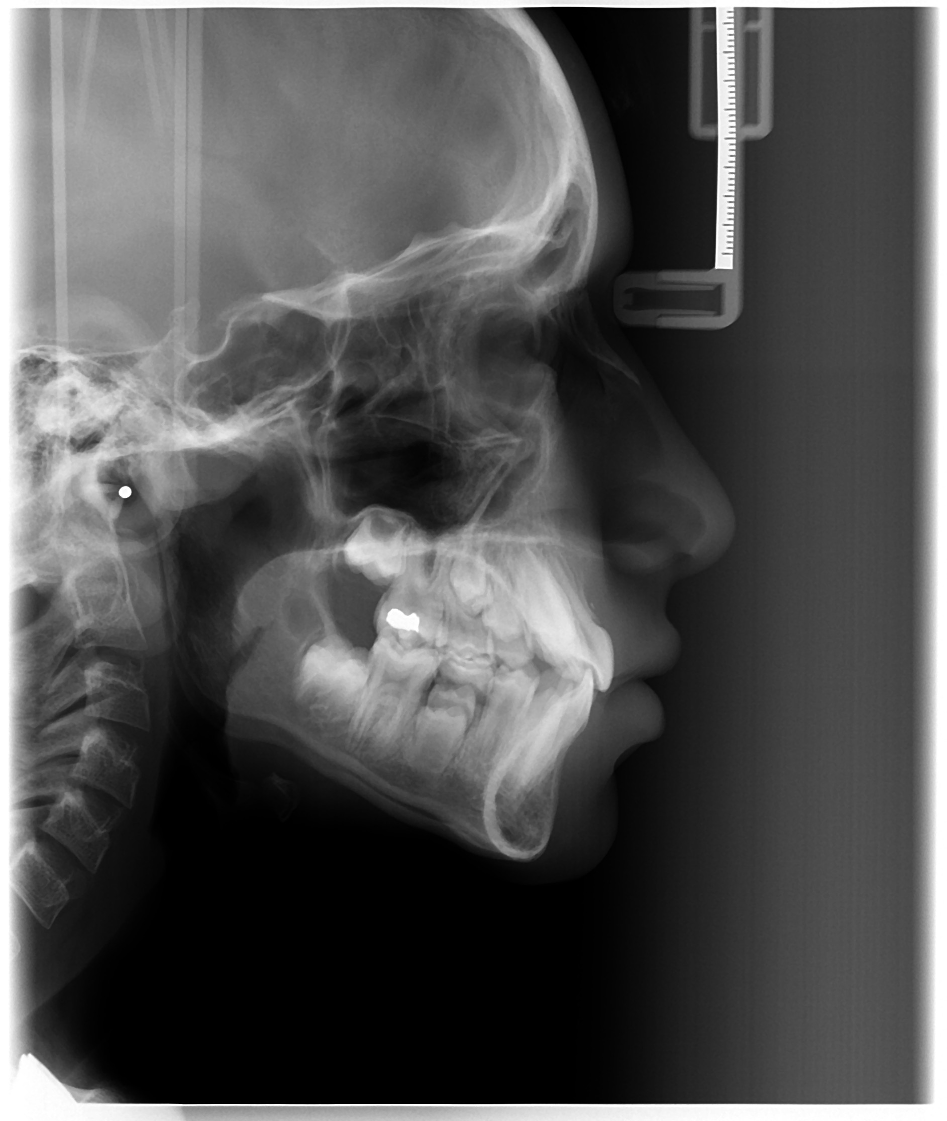 Sample Image 7