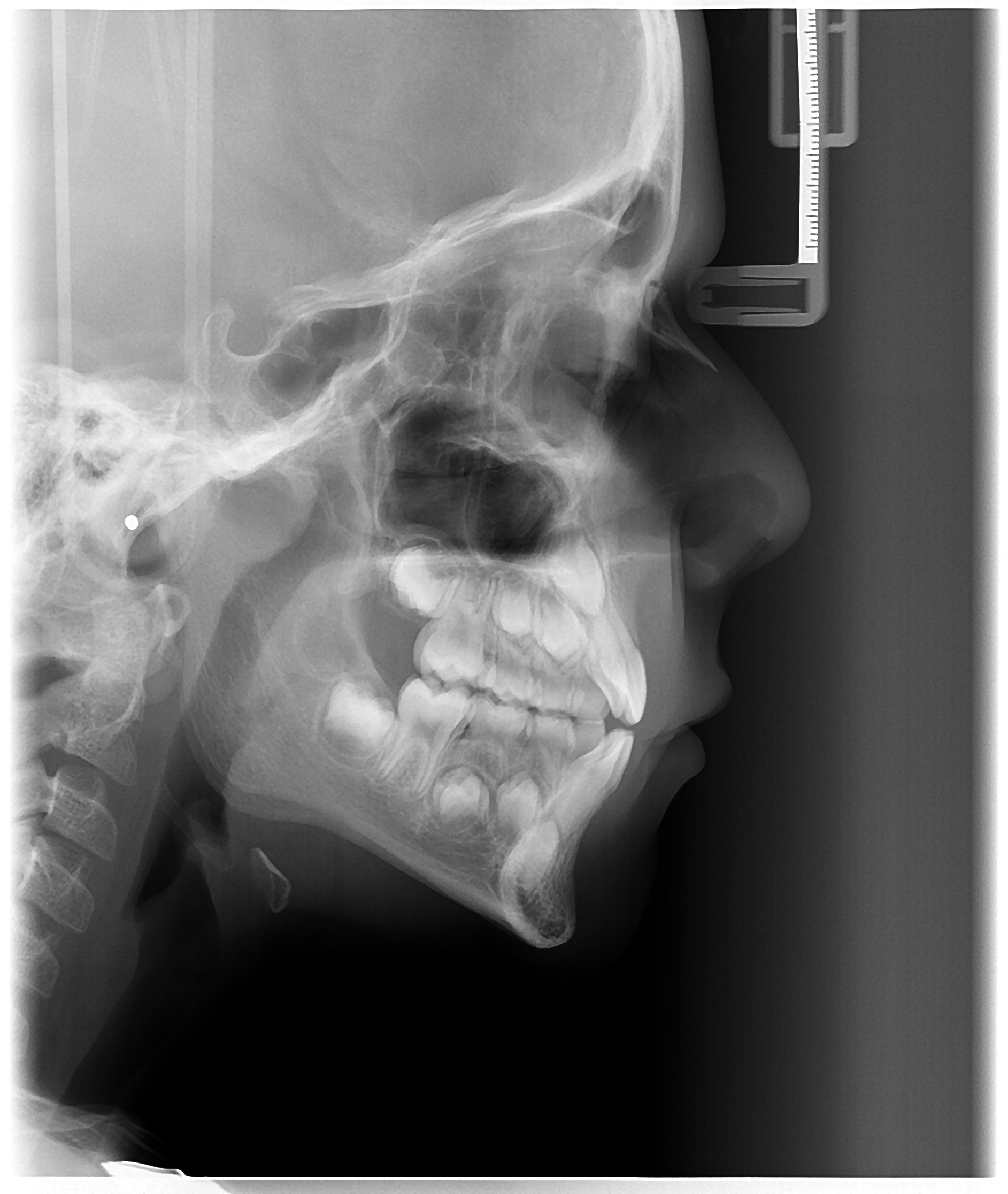 Sample Image 3